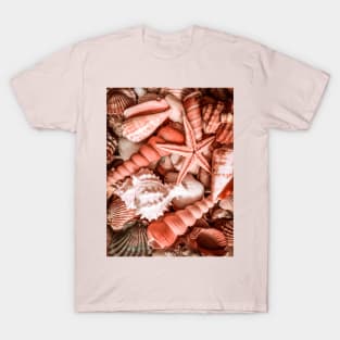 Summer Beach Travel Surf Caribbean Seashells T-Shirt